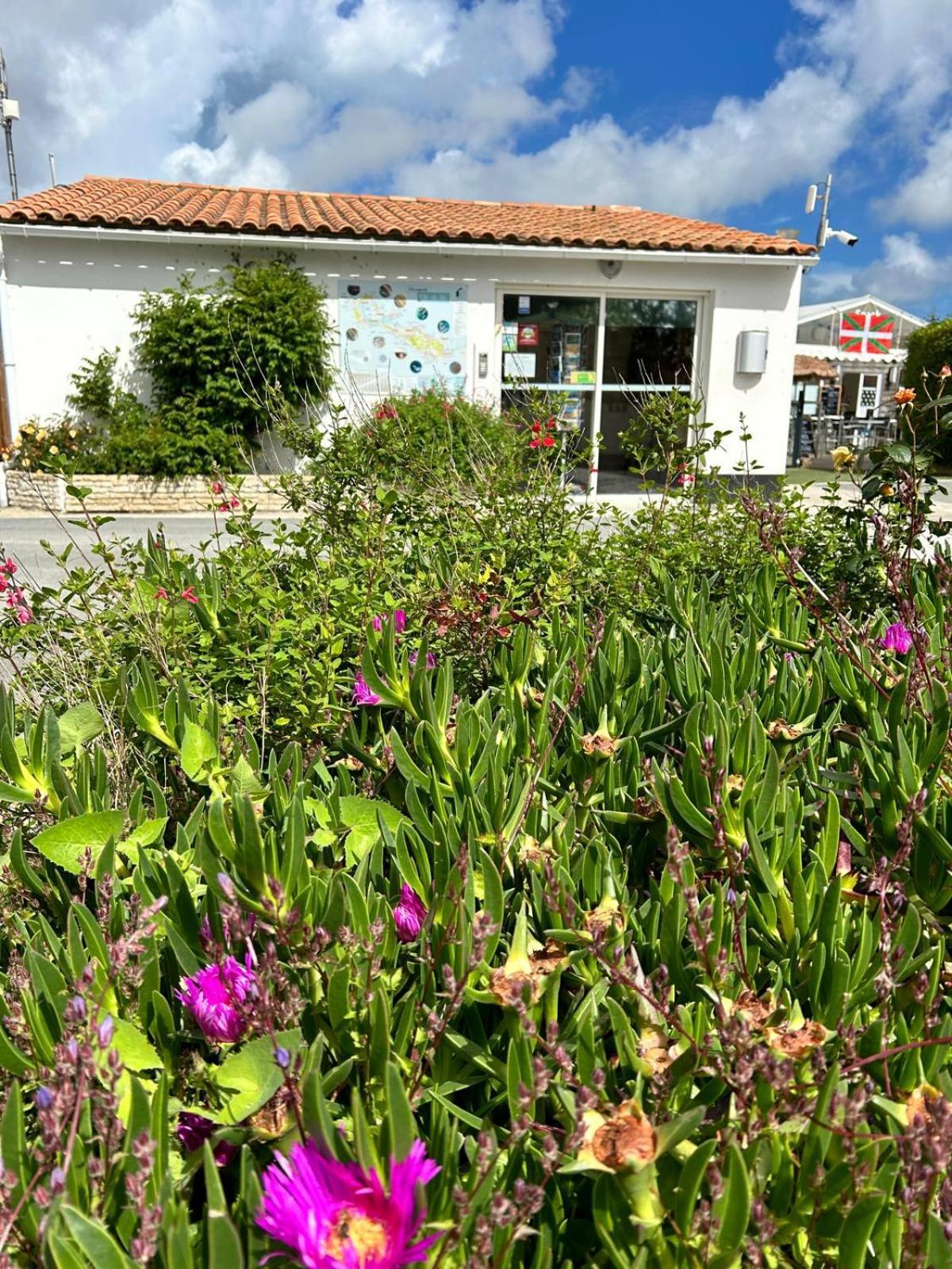 Camping Campiotel Les Dunes - Romanee *